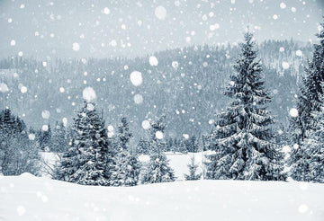 Winter Snow Christmas Tree Backdrops for Christmas IBD-24180 - iBACKDROP-chr, chri, chris, christ, christm, Christmas Backdrops, Christmas Background, christmas tree, fore, New Arrivals, photography backdrops, Snow, whtie, win, wint, winte